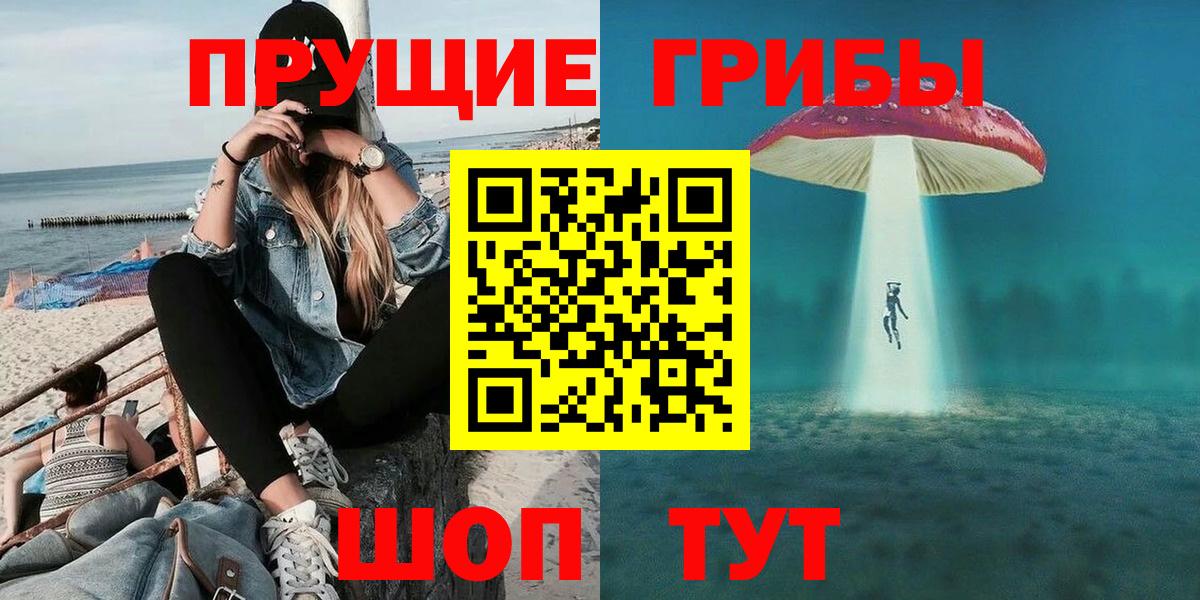 Псилоцибиновые грибы мицелий  Вход с VPN  Кувандык 